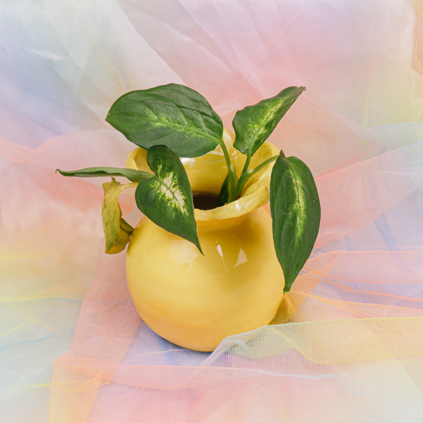 Flower Vase in Yellow | Vase