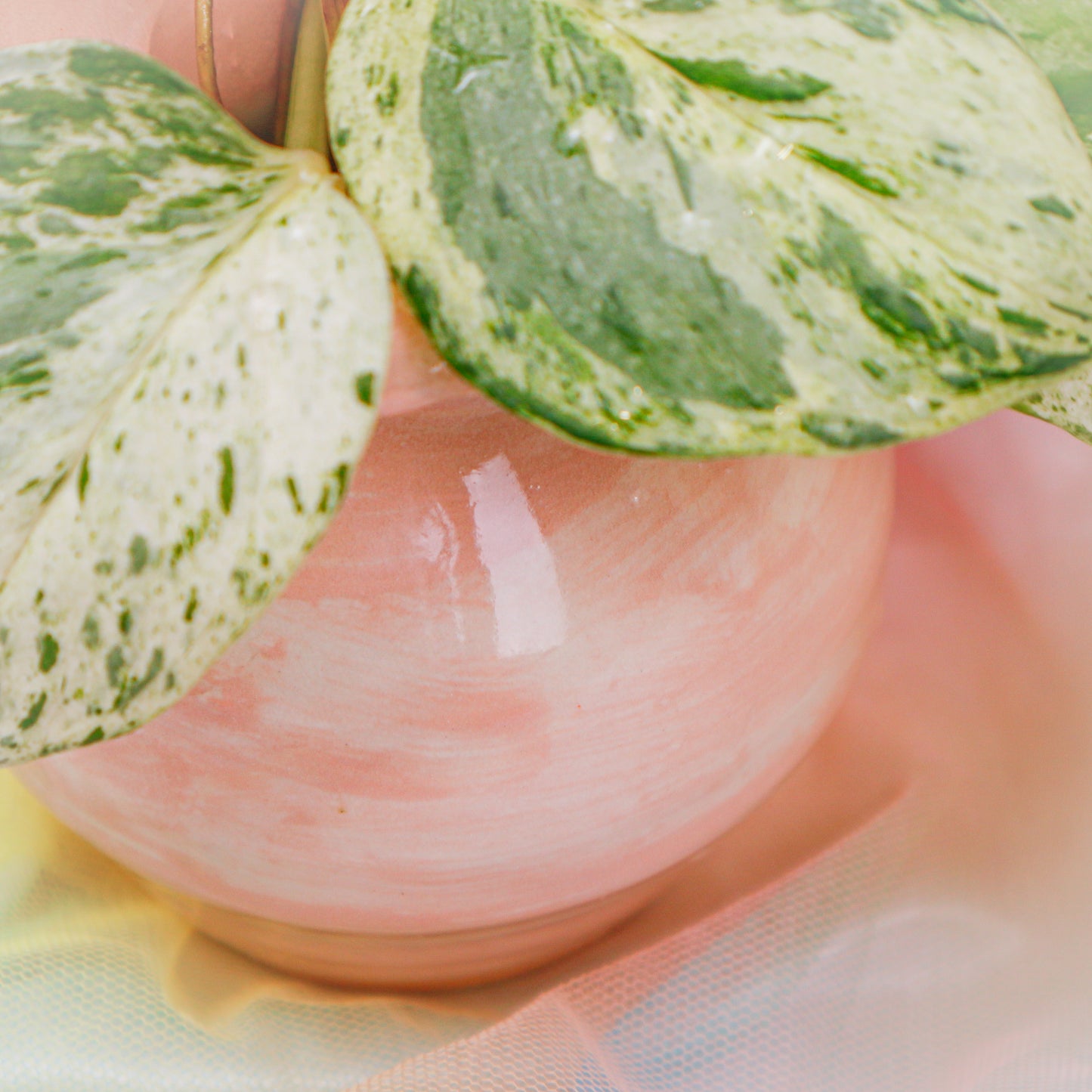 Flower Vase in Pink | Vase