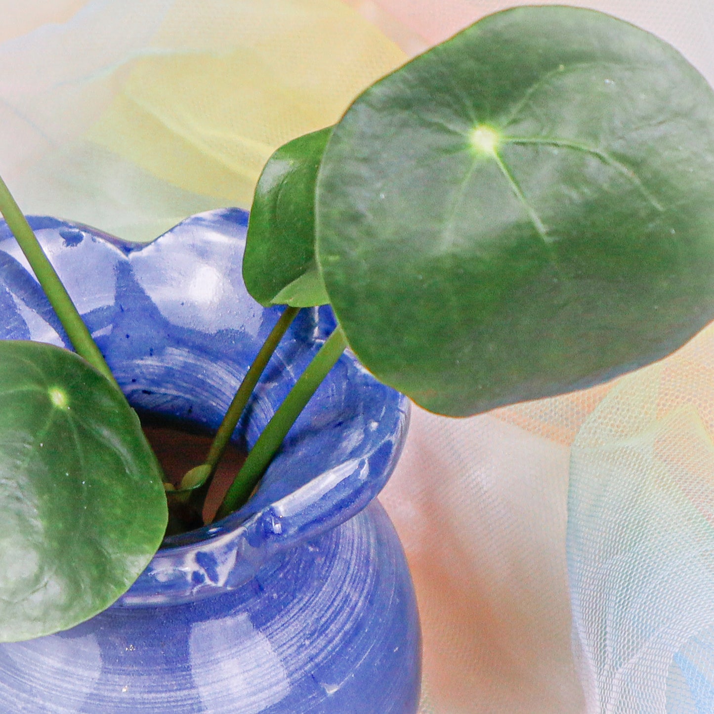 Flower Vase in Blue | Vase