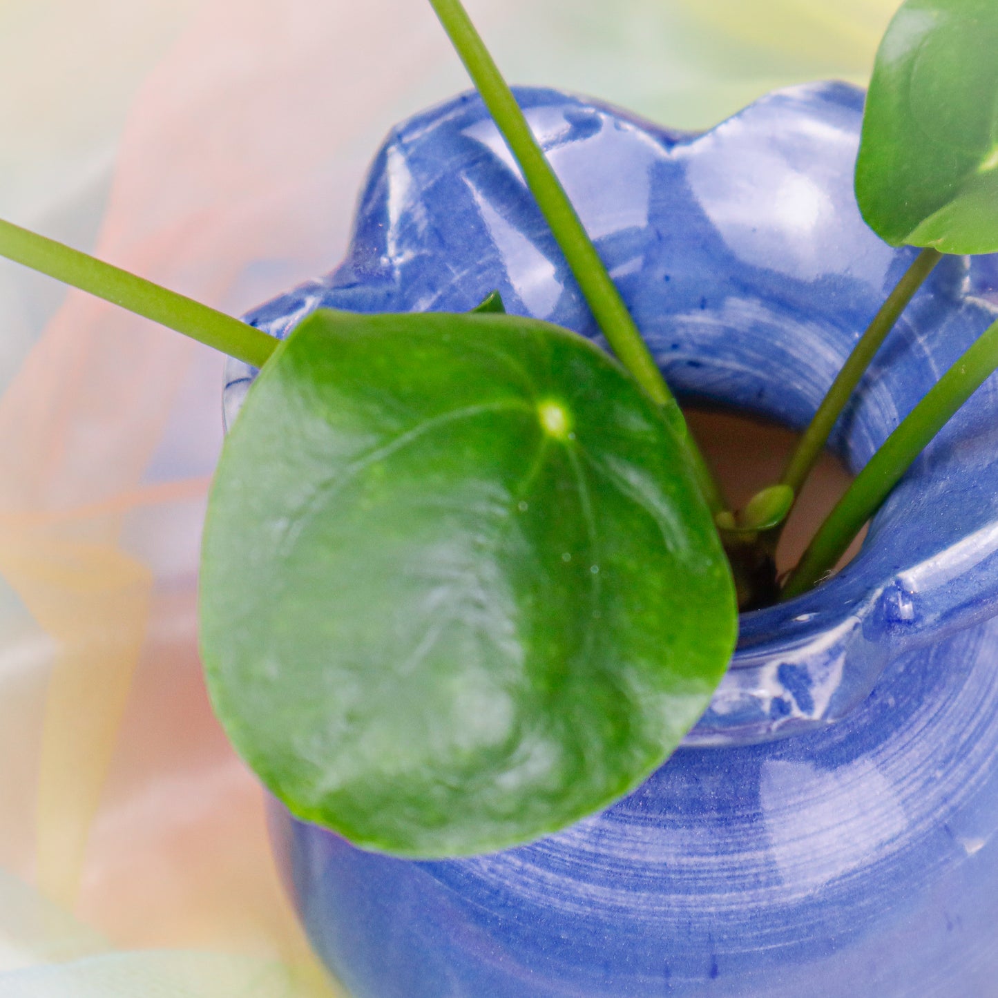 Flower Vase in Blue | Vase