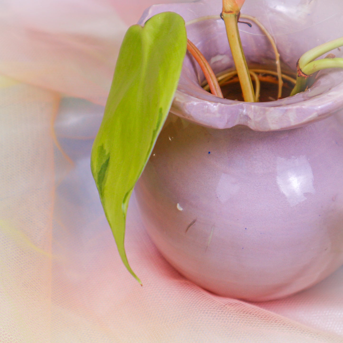 Flower Vase in Lilac | Vase