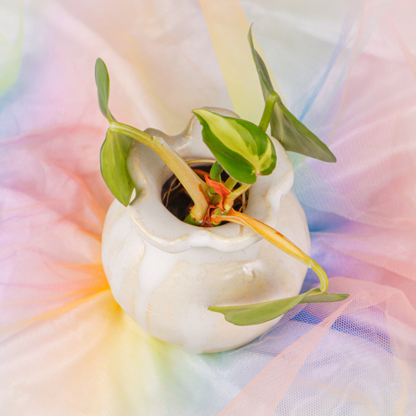 Flower Vase in Light Yellow | Vase