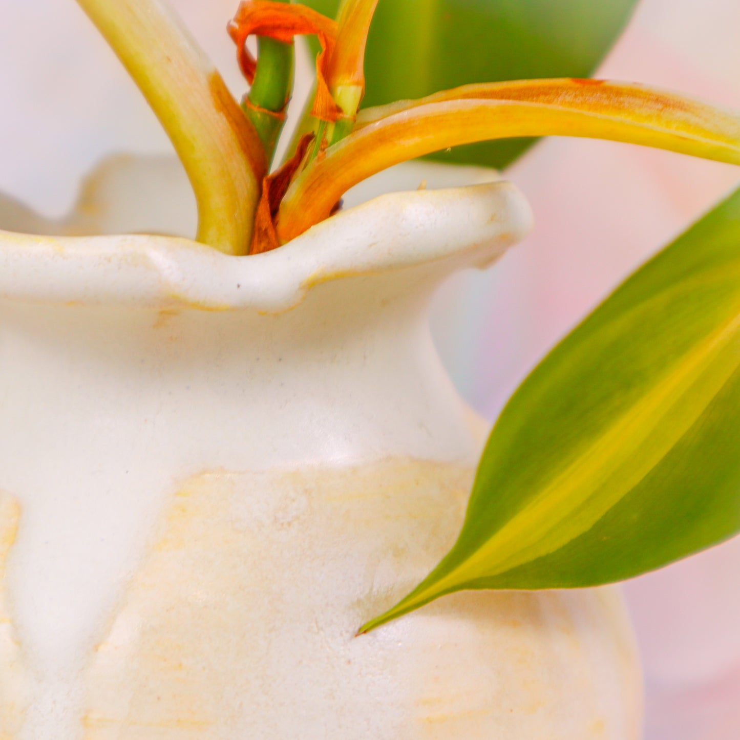 Flower Vase in Light Yellow | Vase