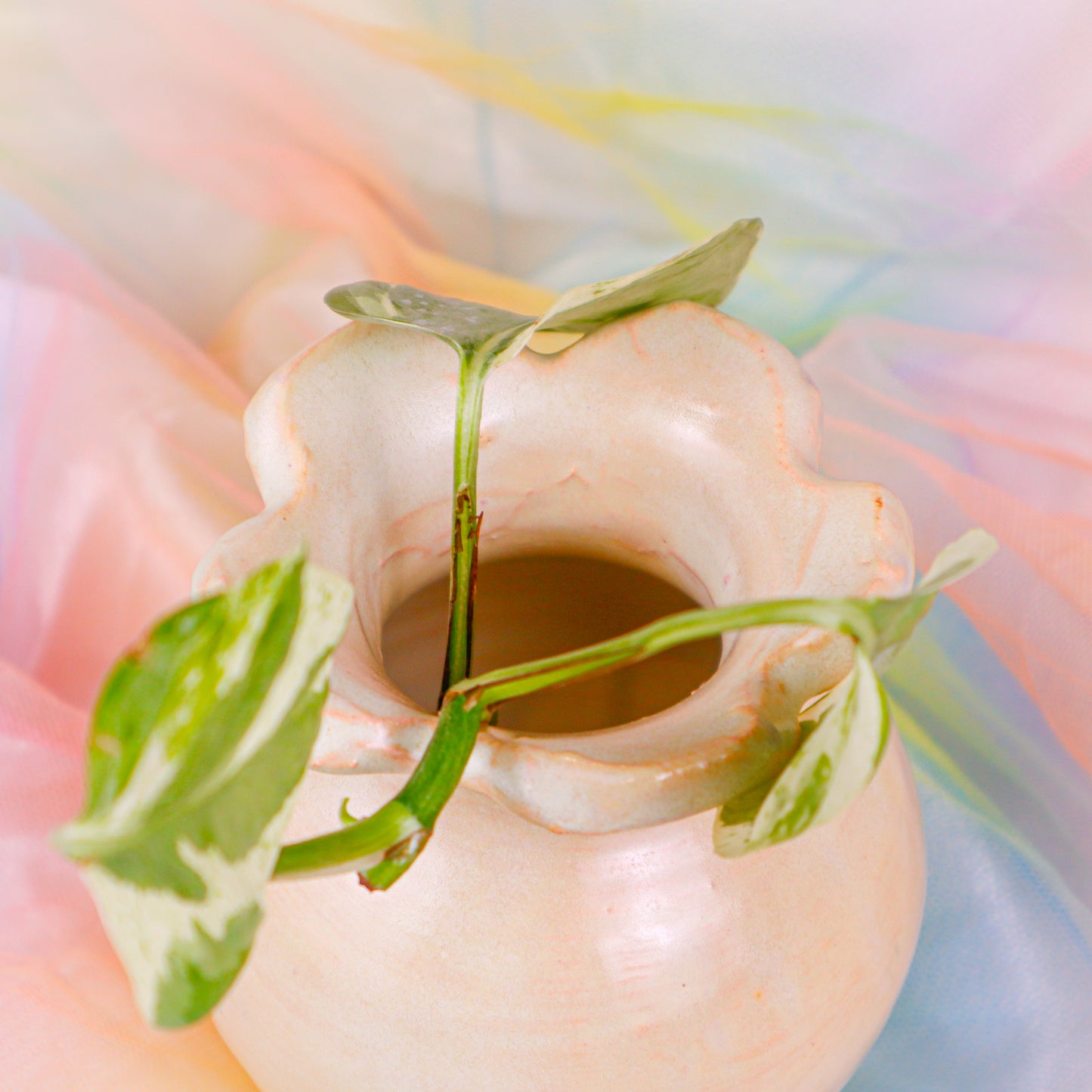 Flower Vase in Light Pink | Vase