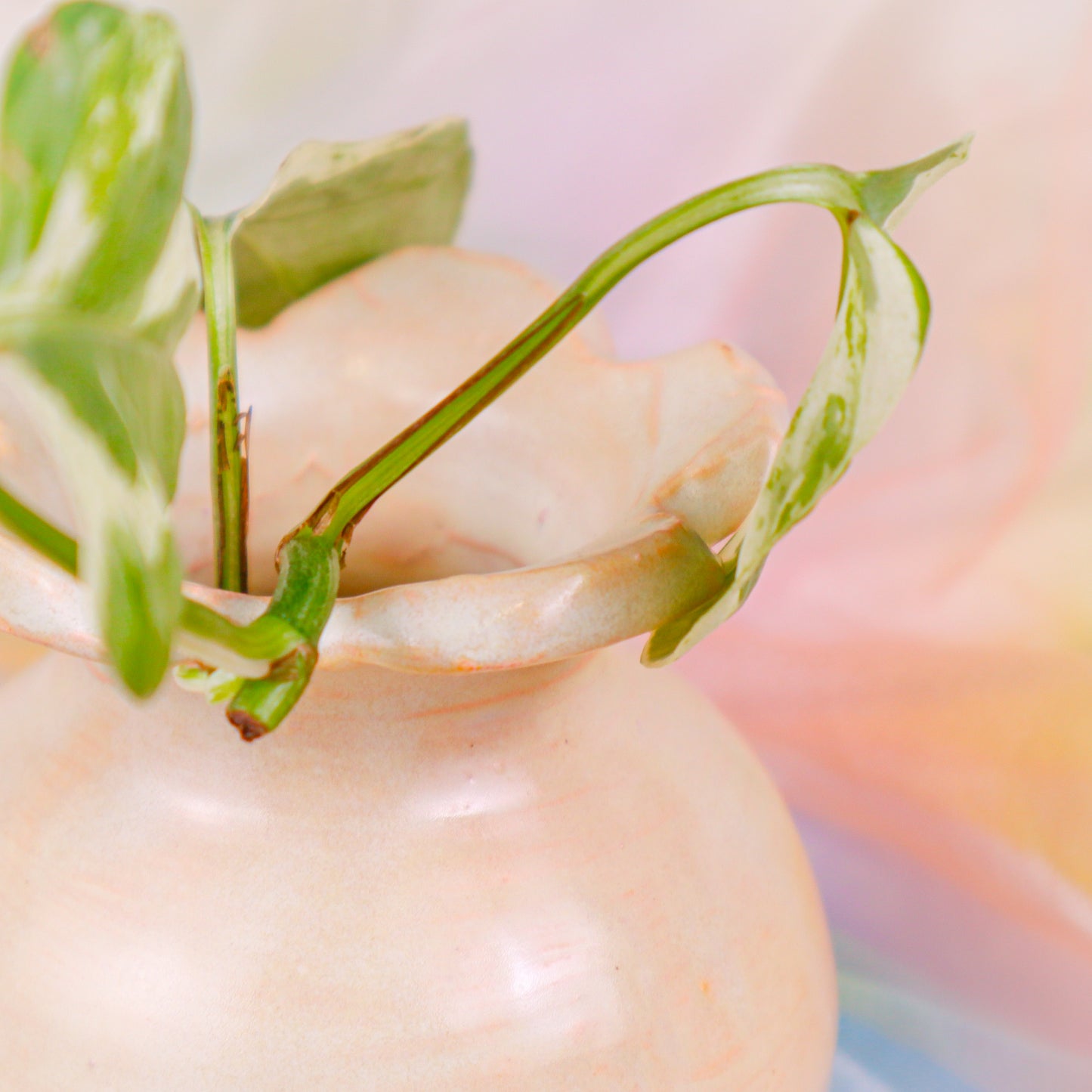 Flower Vase in Light Pink | Vase