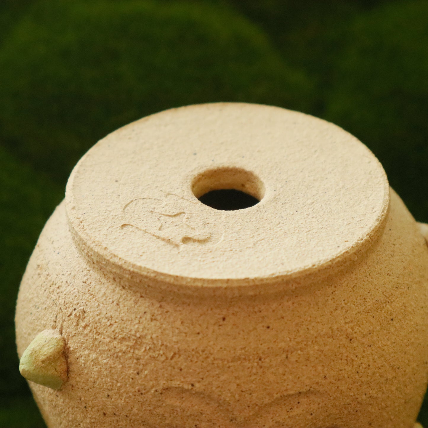 Patootoo | Planter