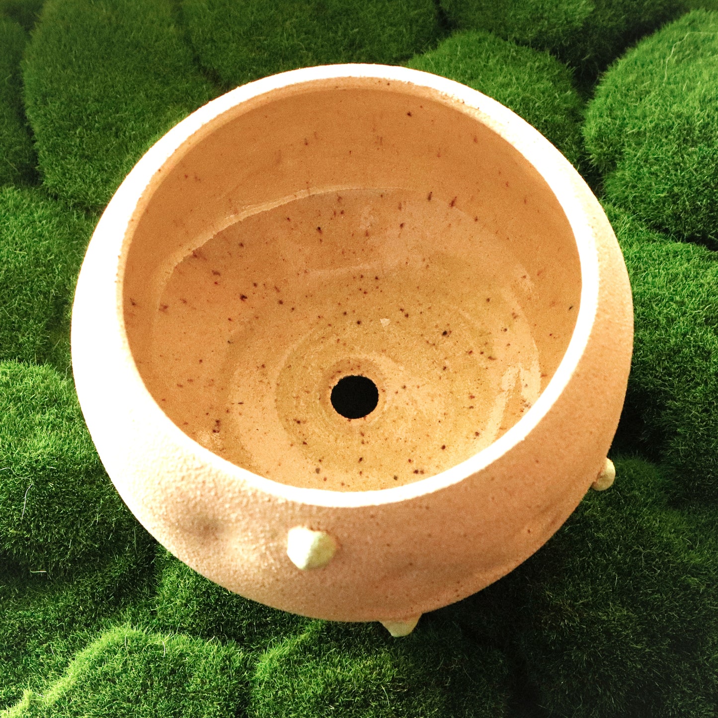 Patootoo | Planter
