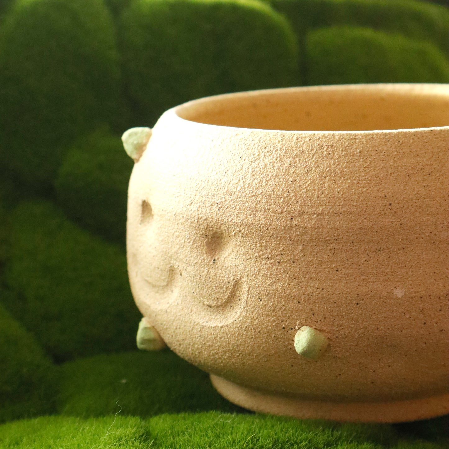 Patootoo | Planter