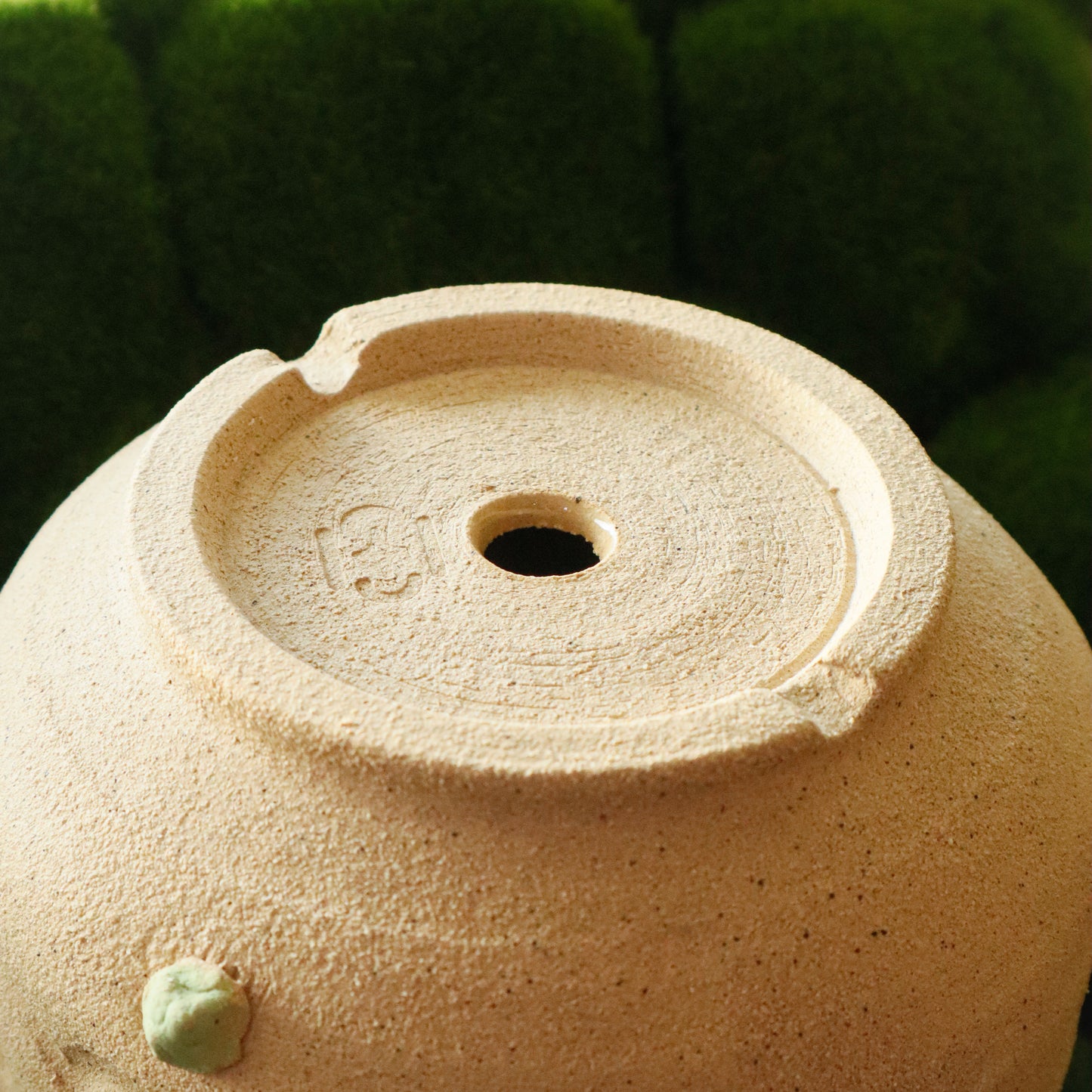 Patootoo | Planter
