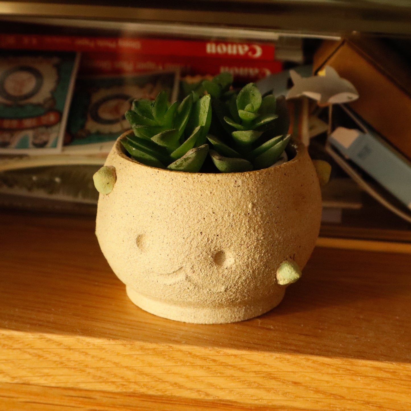 Patootoo | Planter