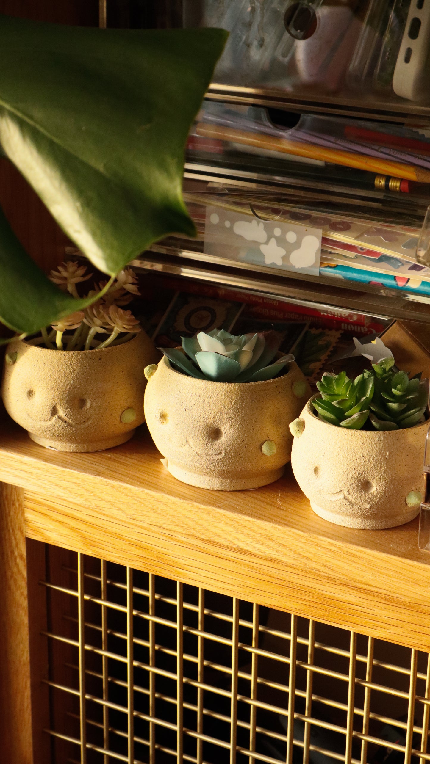 Patootoo | Planter