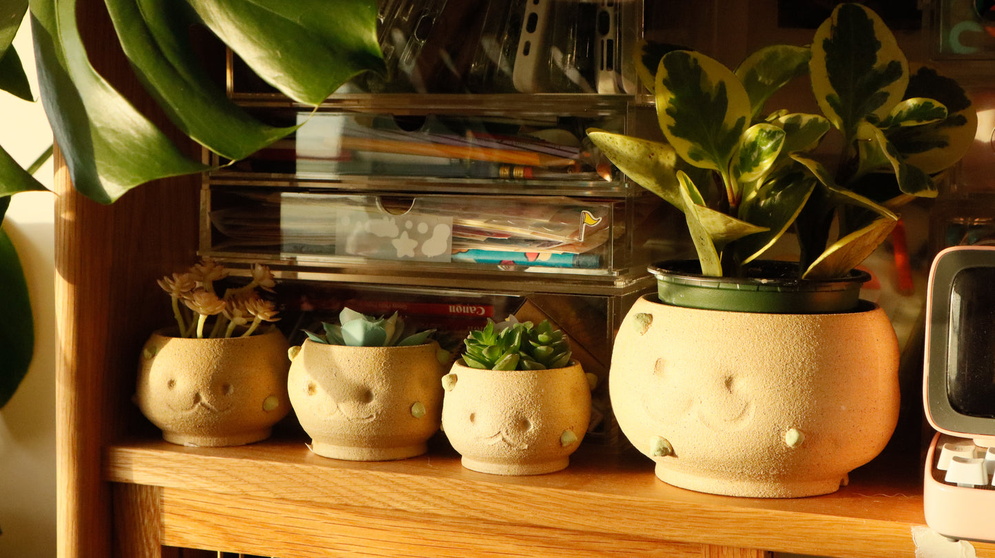 Patootoo | Planter