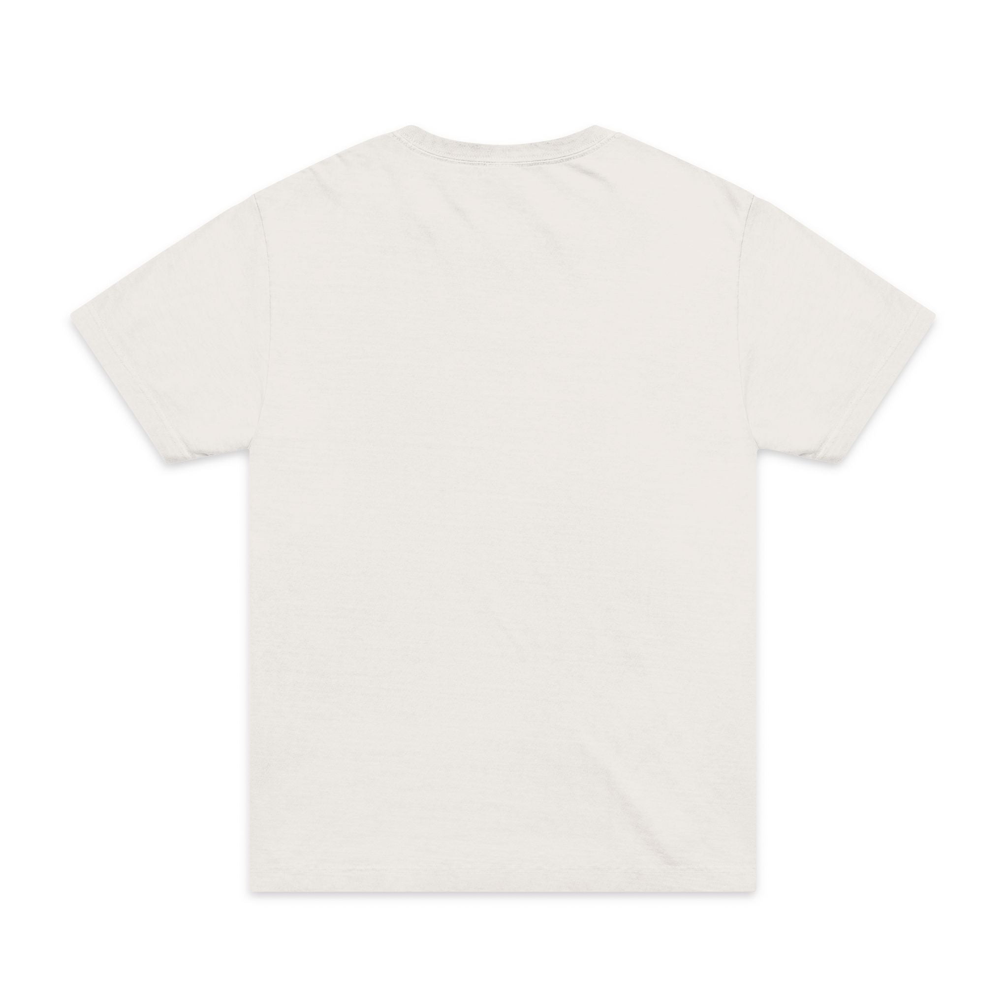 I Didnt Die Today | Tee