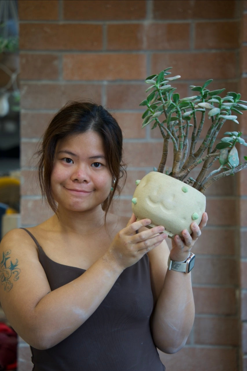 Mr. Potato | Planter