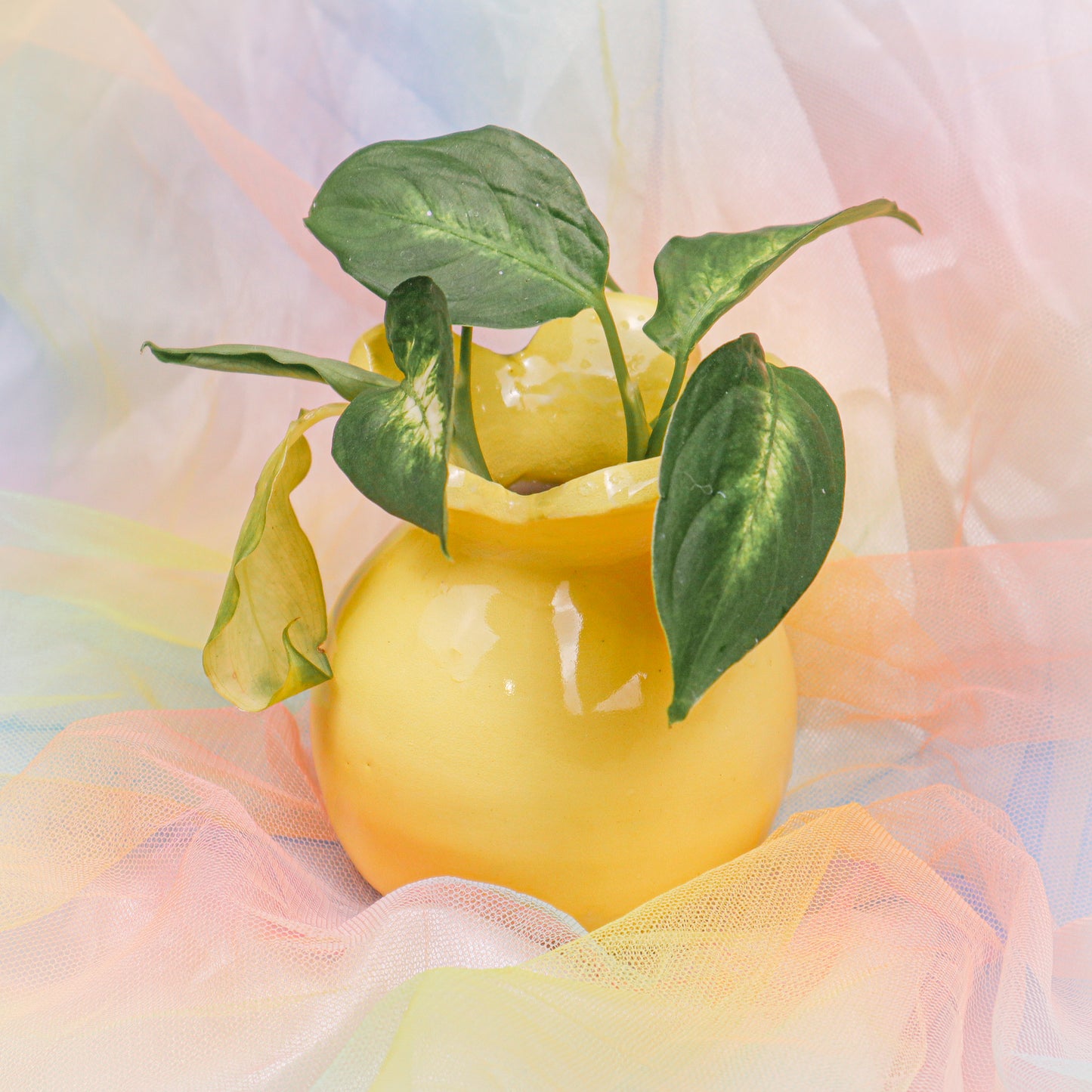 Flower Vase in Yellow | Vase