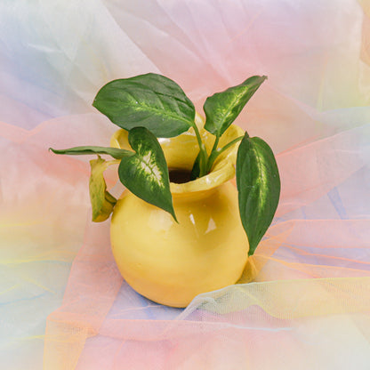 Flower Vase in Yellow | Vase