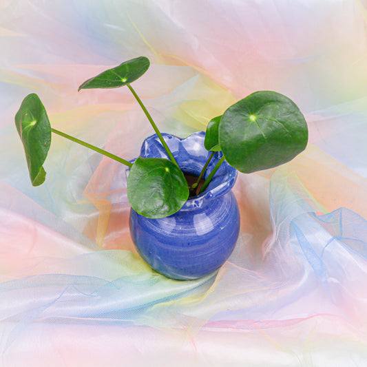 Flower Vase in Blue | Vase
