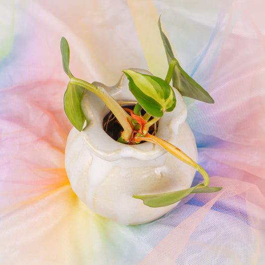 Flower Vase in Light Yellow | Vase
