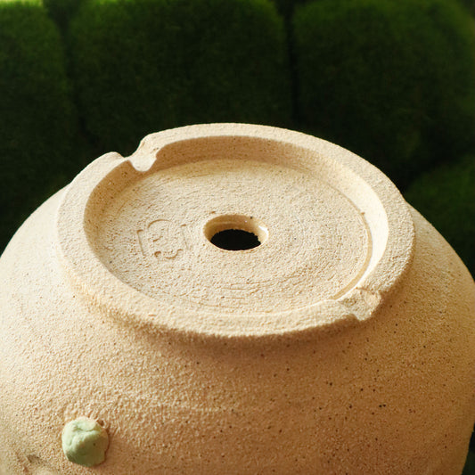 Patootoo | Planter