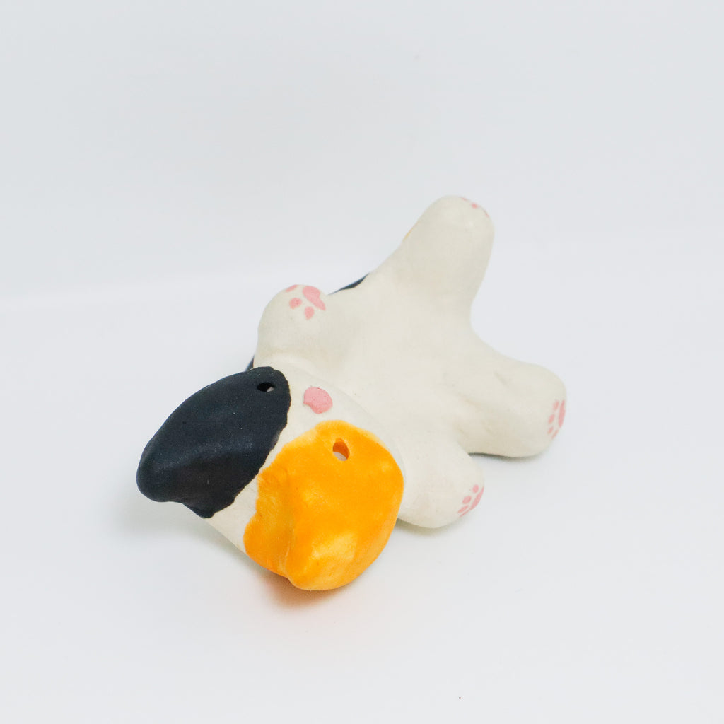 James | Pocket Kitty