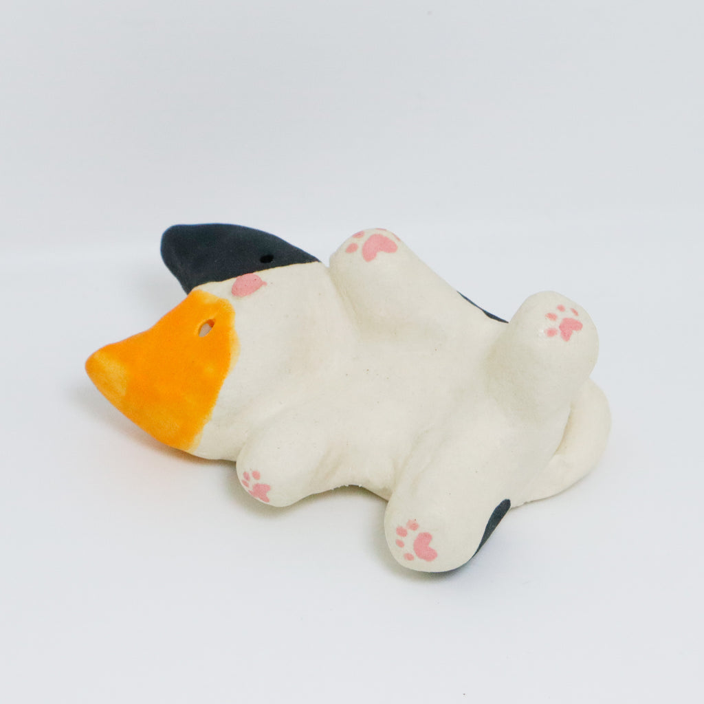 James | Pocket Kitty