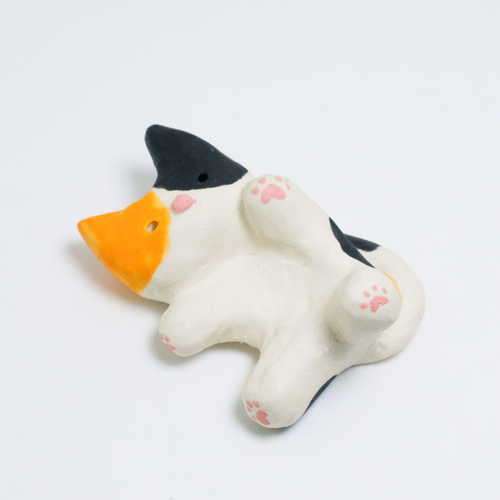 James | Pocket Kitty