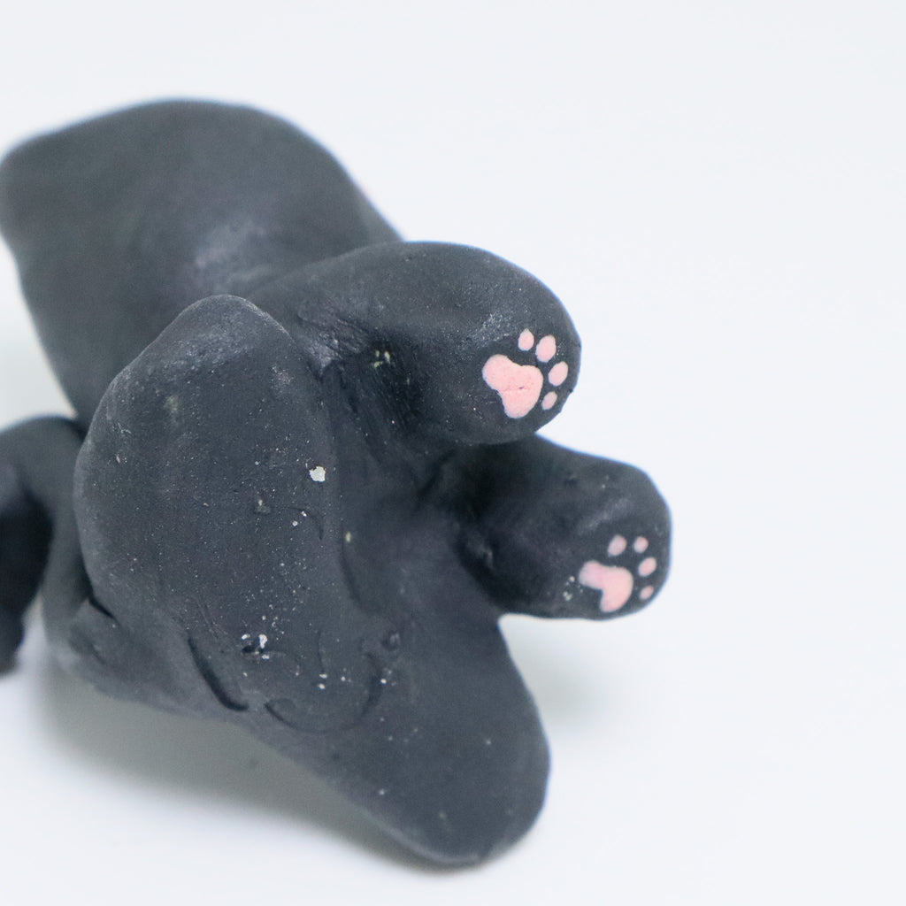 Angela | Pocket Kitty