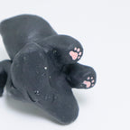 Angela | Pocket Kitty