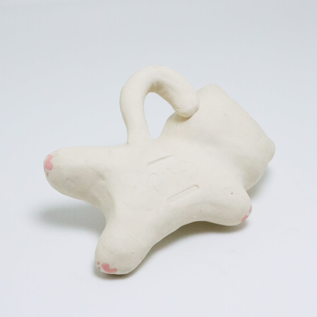 Piggy | Pocket Kitty