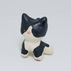 Mr Business | Pocket Kitty