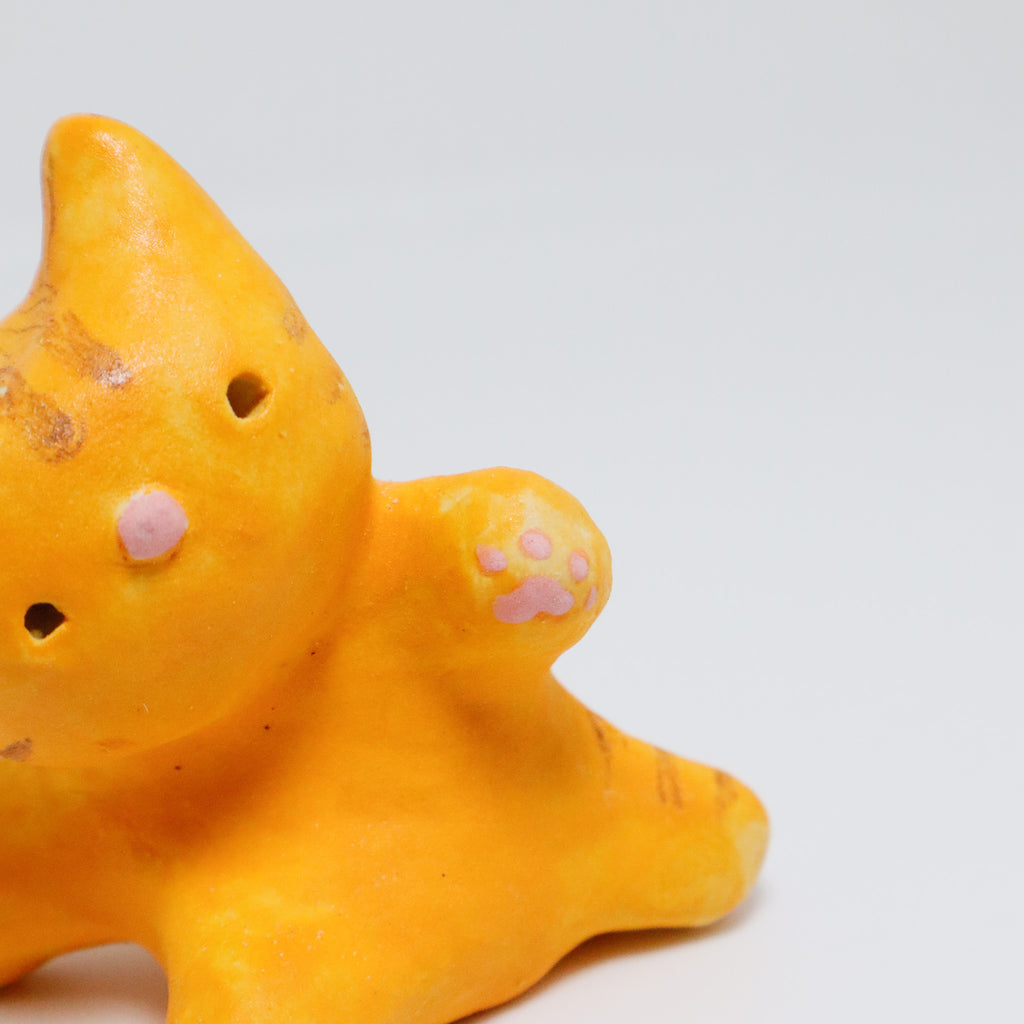 Gabriela | Pocket Kitty