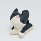 Rachel | Pocket Kitty