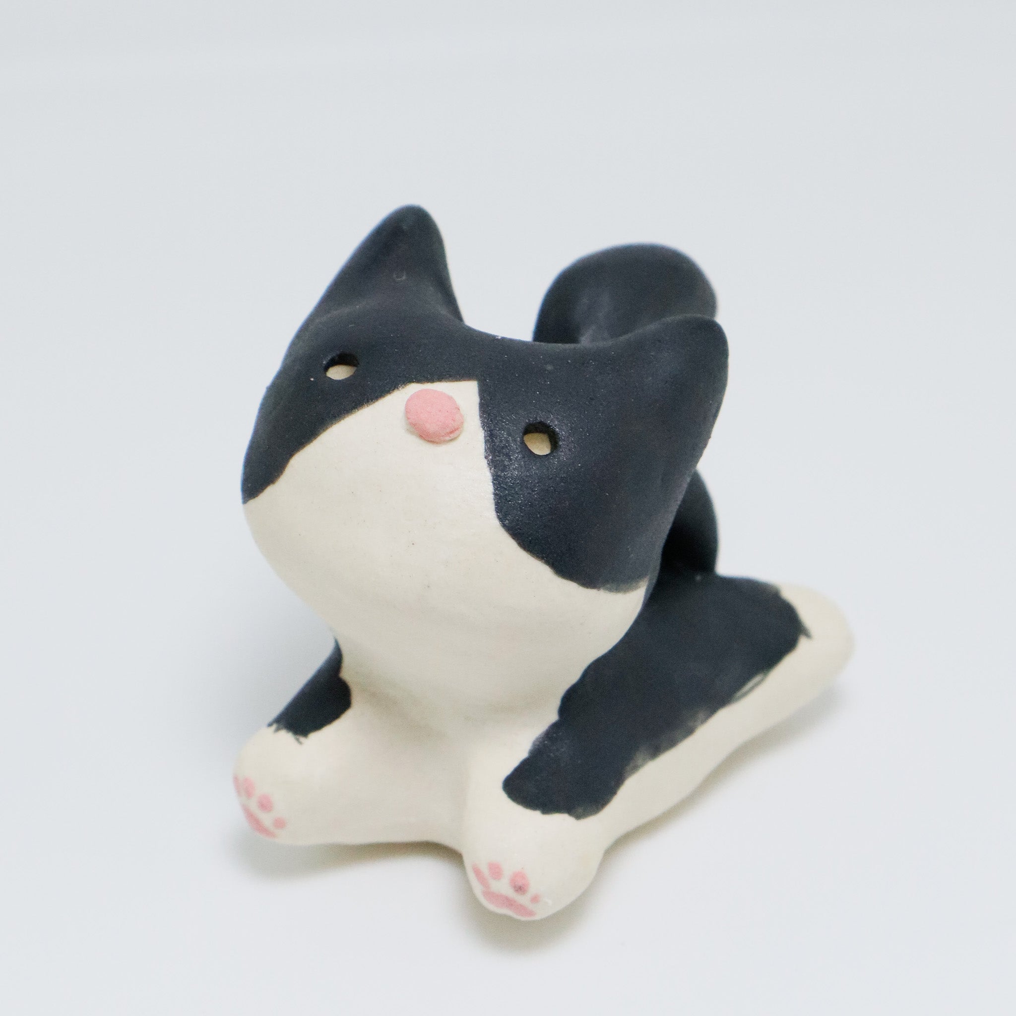 Rachel | Pocket Kitty