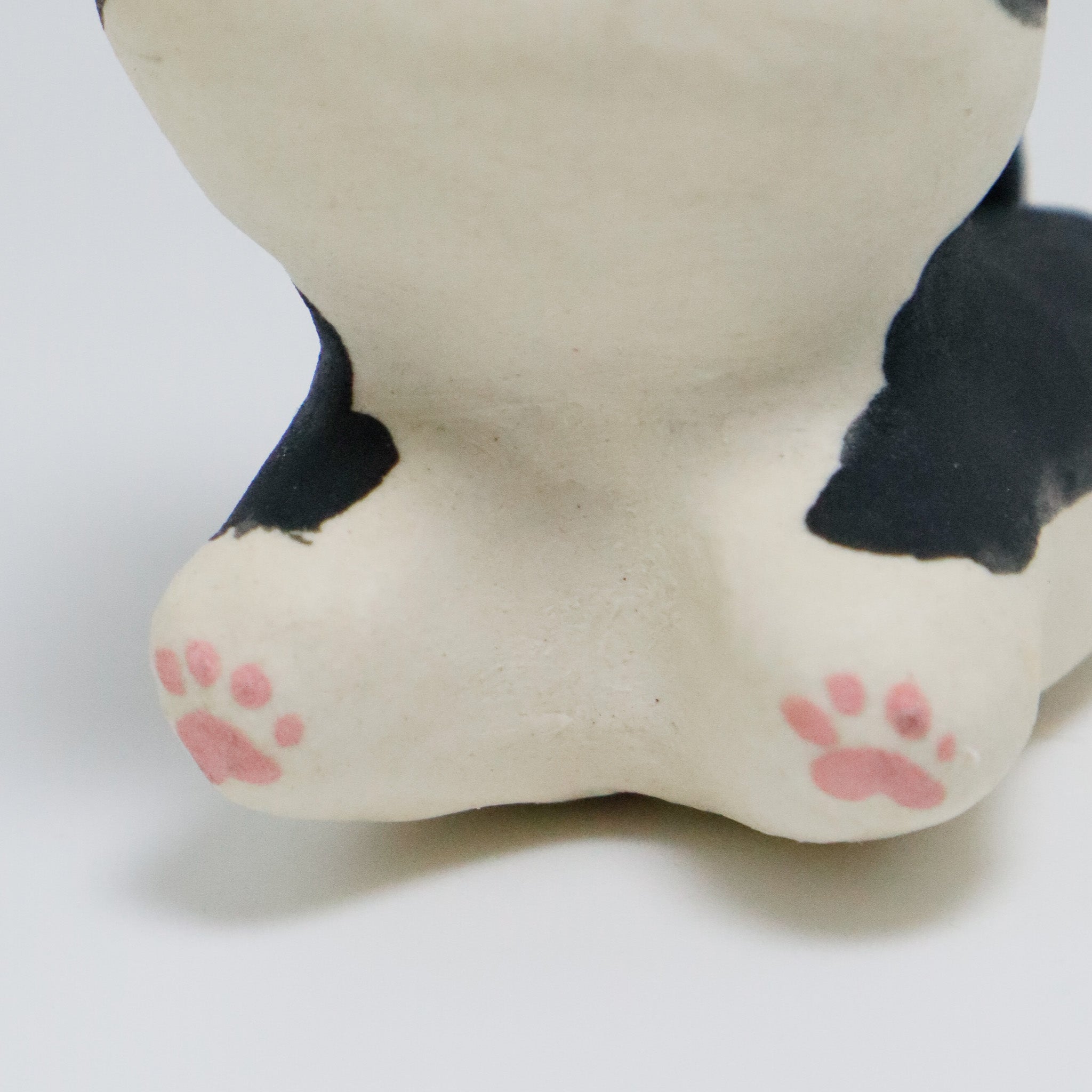 Rachel | Pocket Kitty