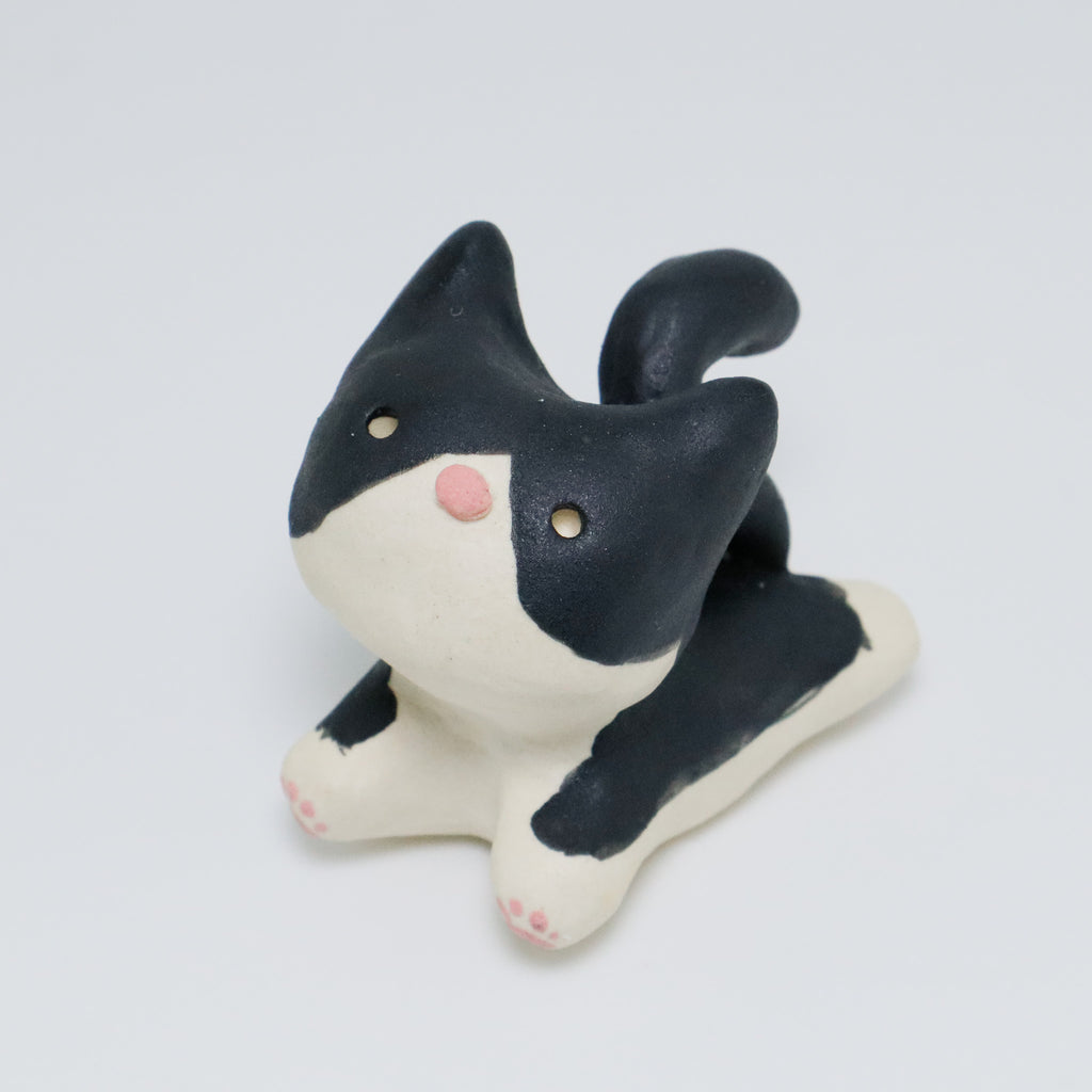 Rachel | Pocket Kitty