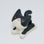 Rachel | Pocket Kitty