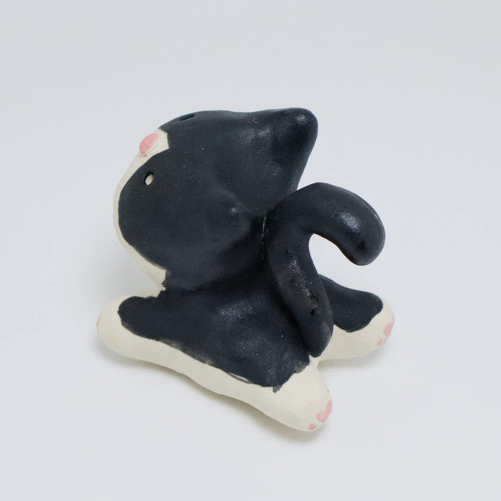 Rachel | Pocket Kitty