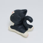 Rachel | Pocket Kitty