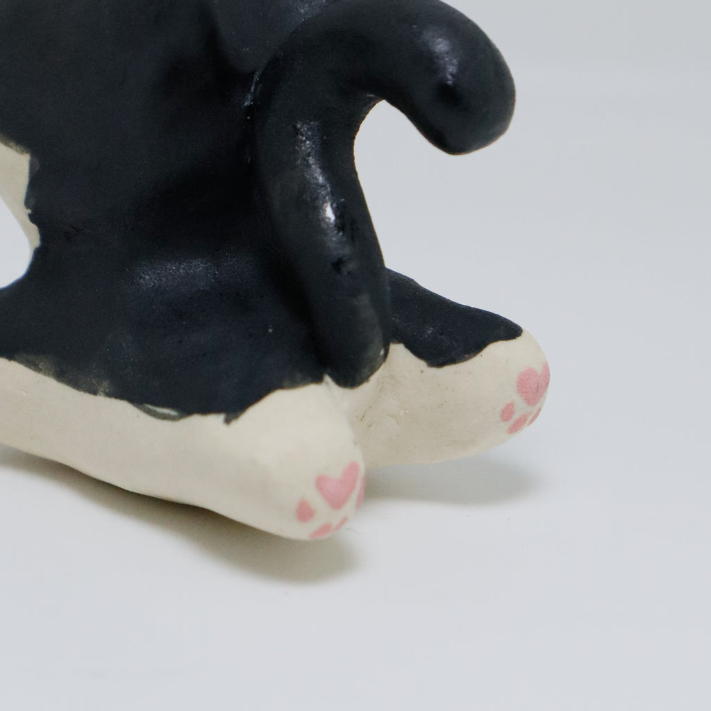 Rachel | Pocket Kitty