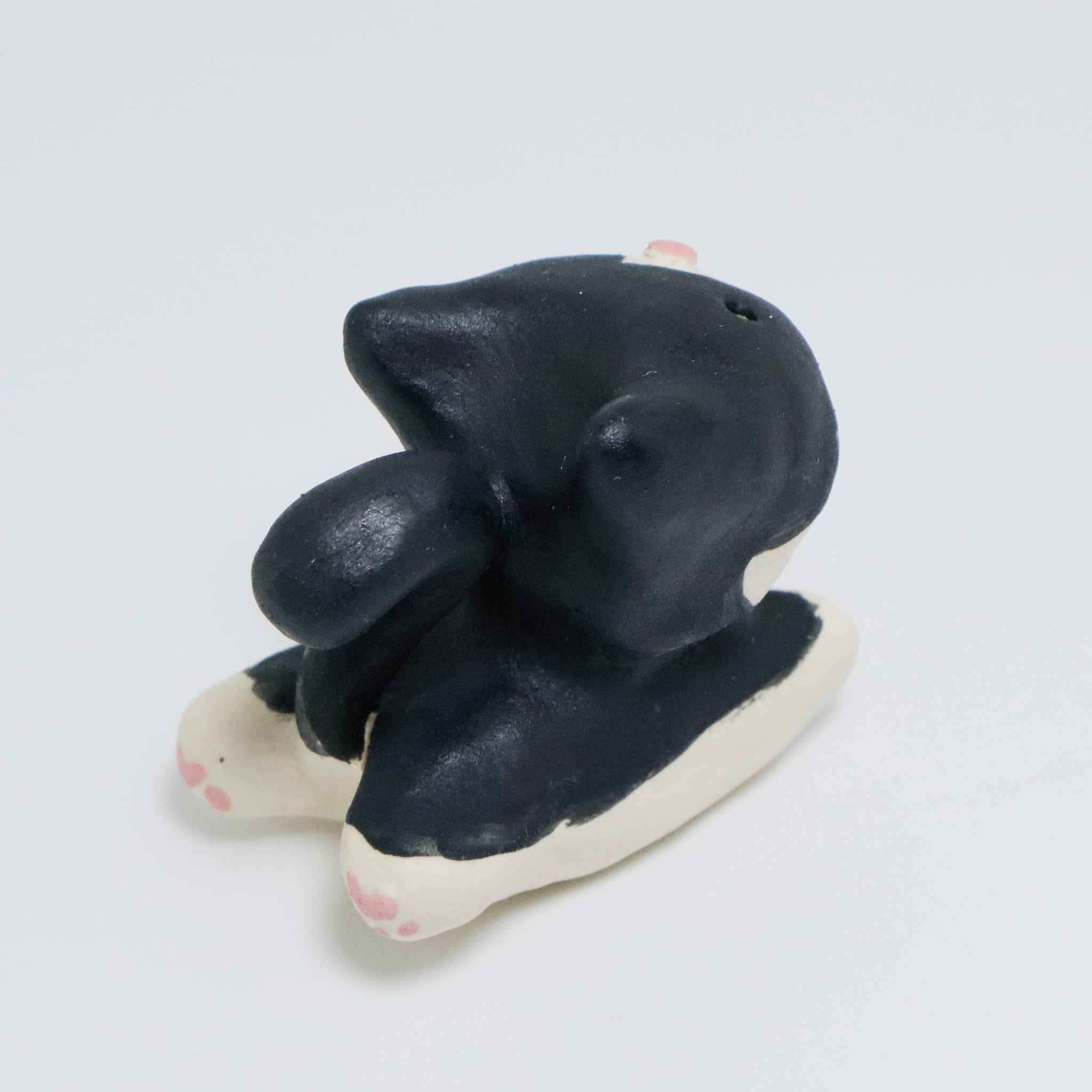 Rachel | Pocket Kitty