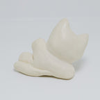 Radish | Pocket Kitty