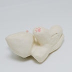 Radish | Pocket Kitty