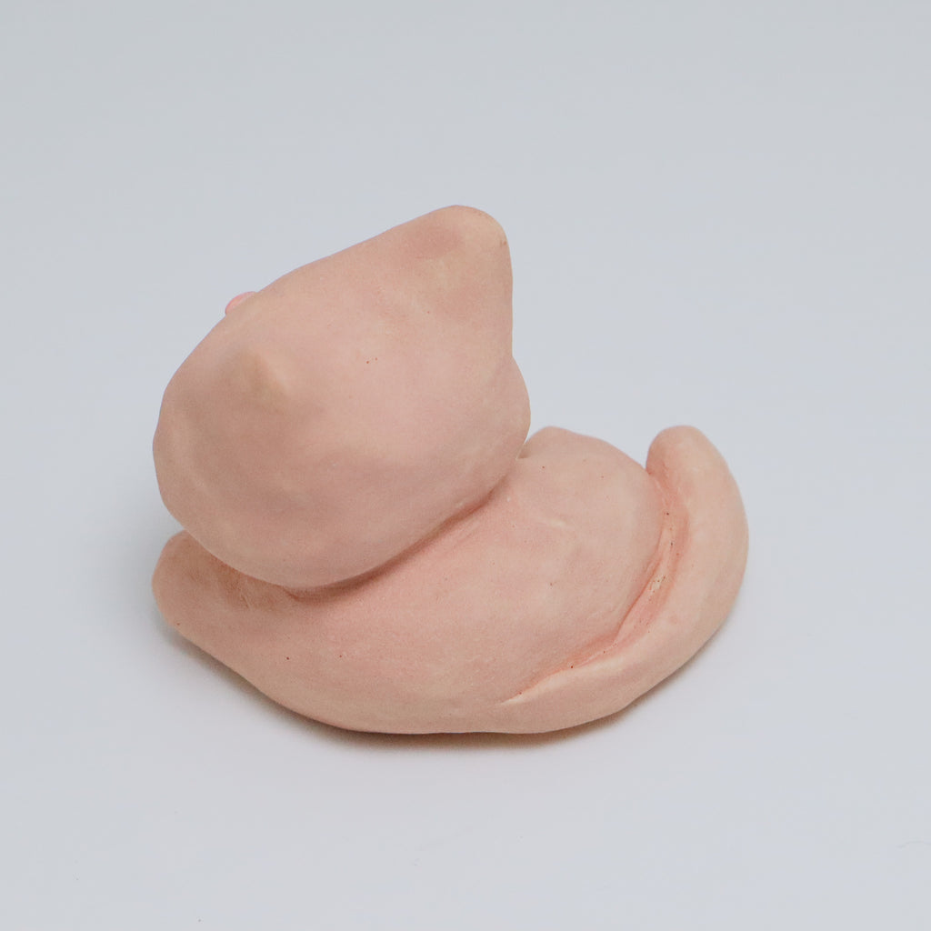 Bubblegum | Pocket Kitty