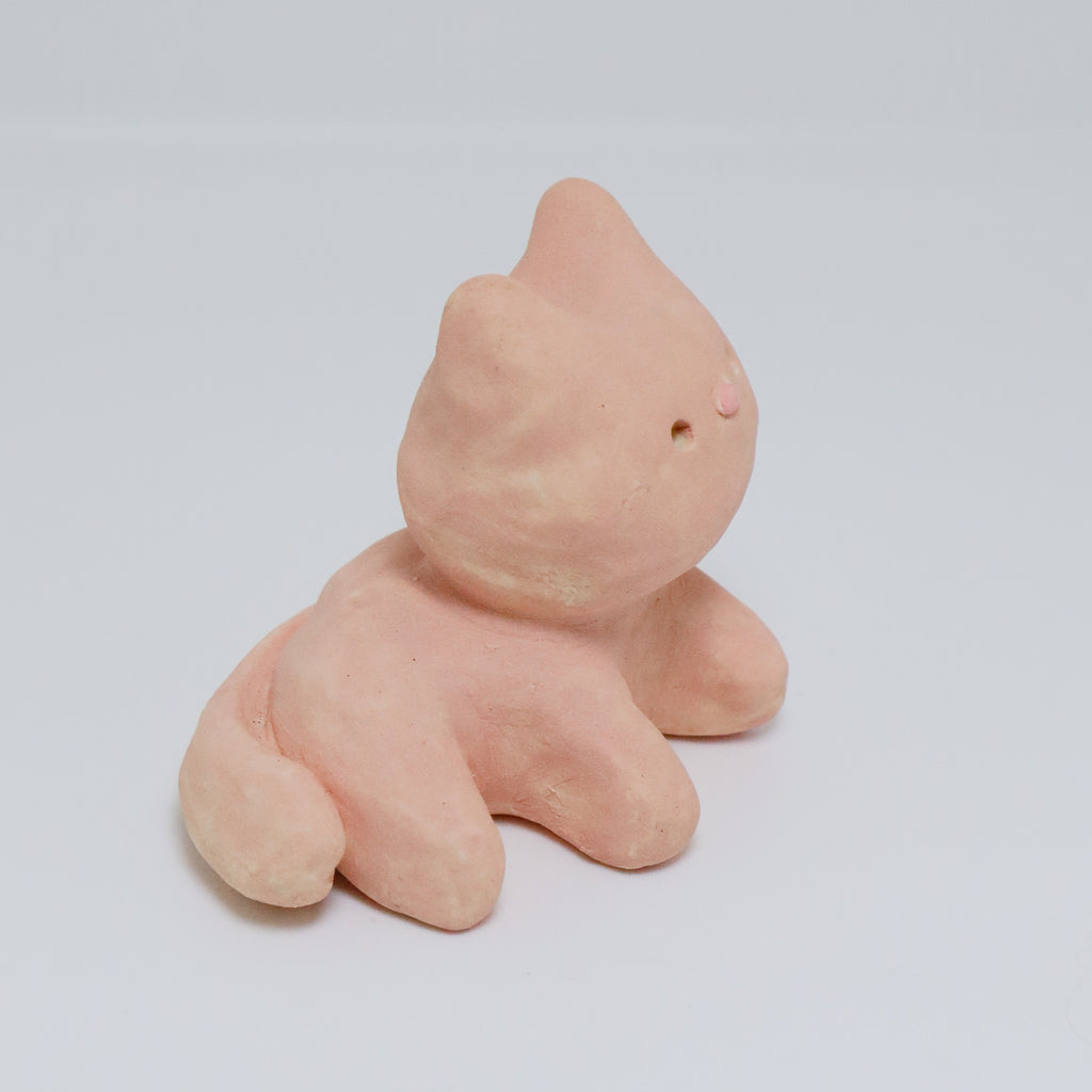 Bubblegum | Pocket Kitty