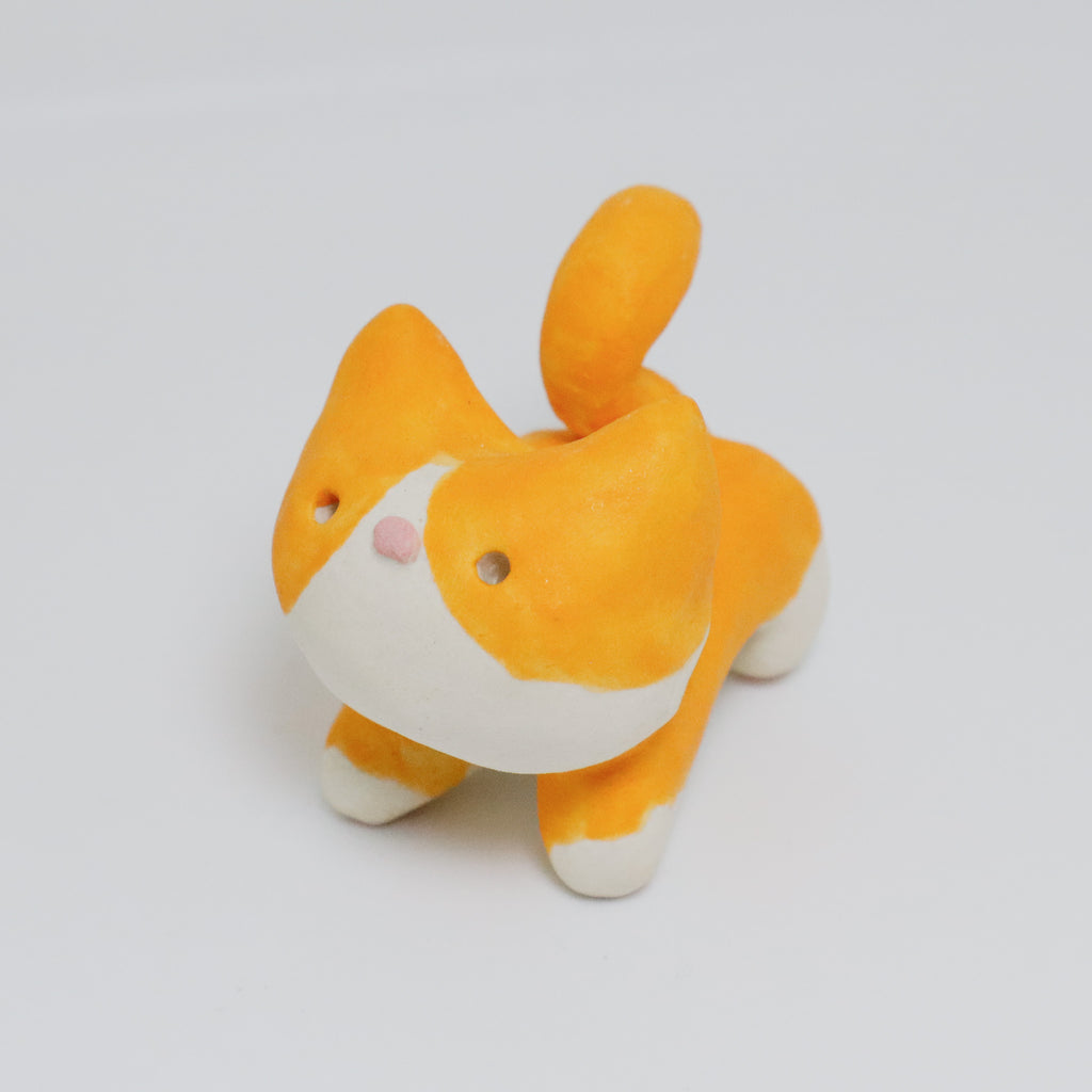 Cool Guy | Pocket Kitty