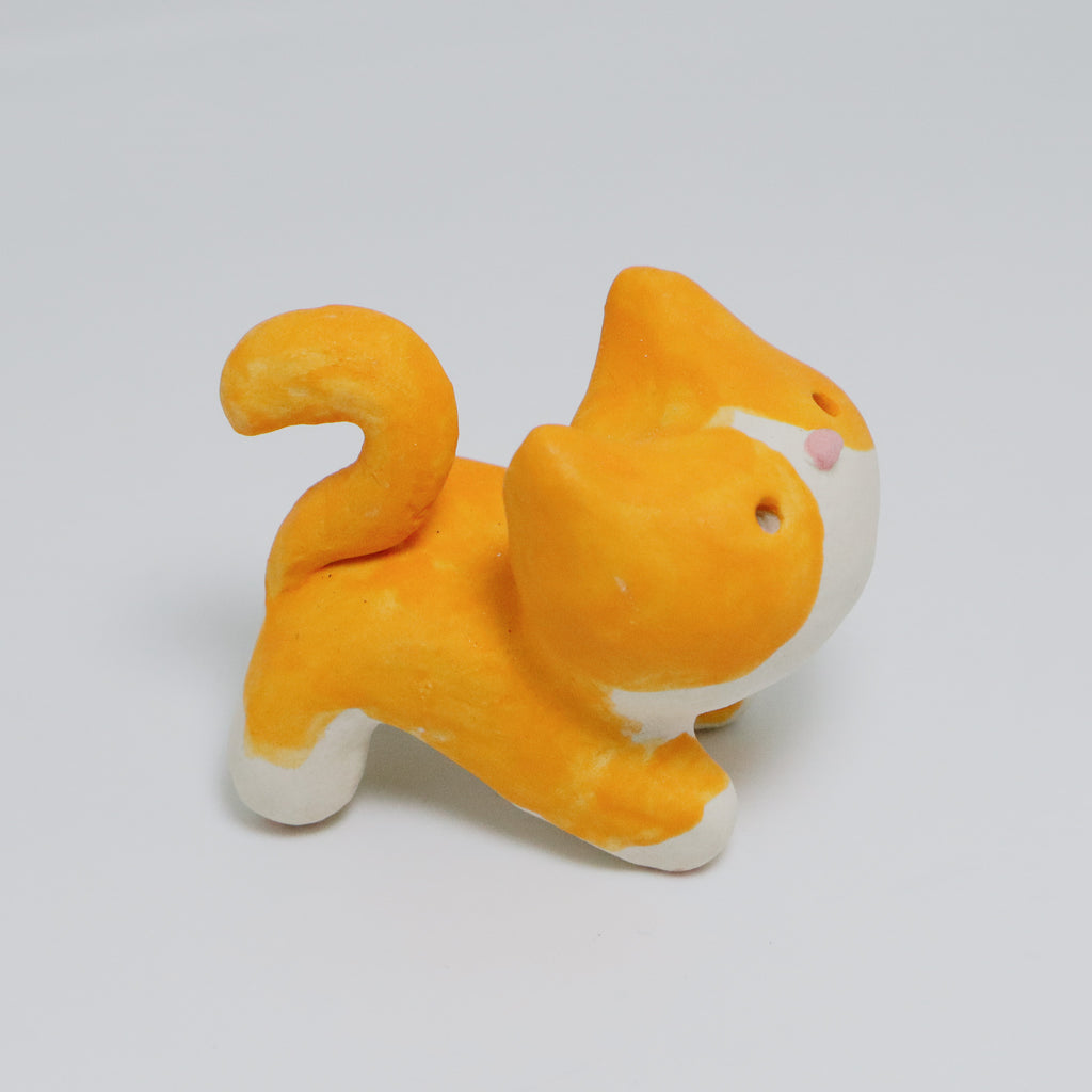 Cool Guy | Pocket Kitty