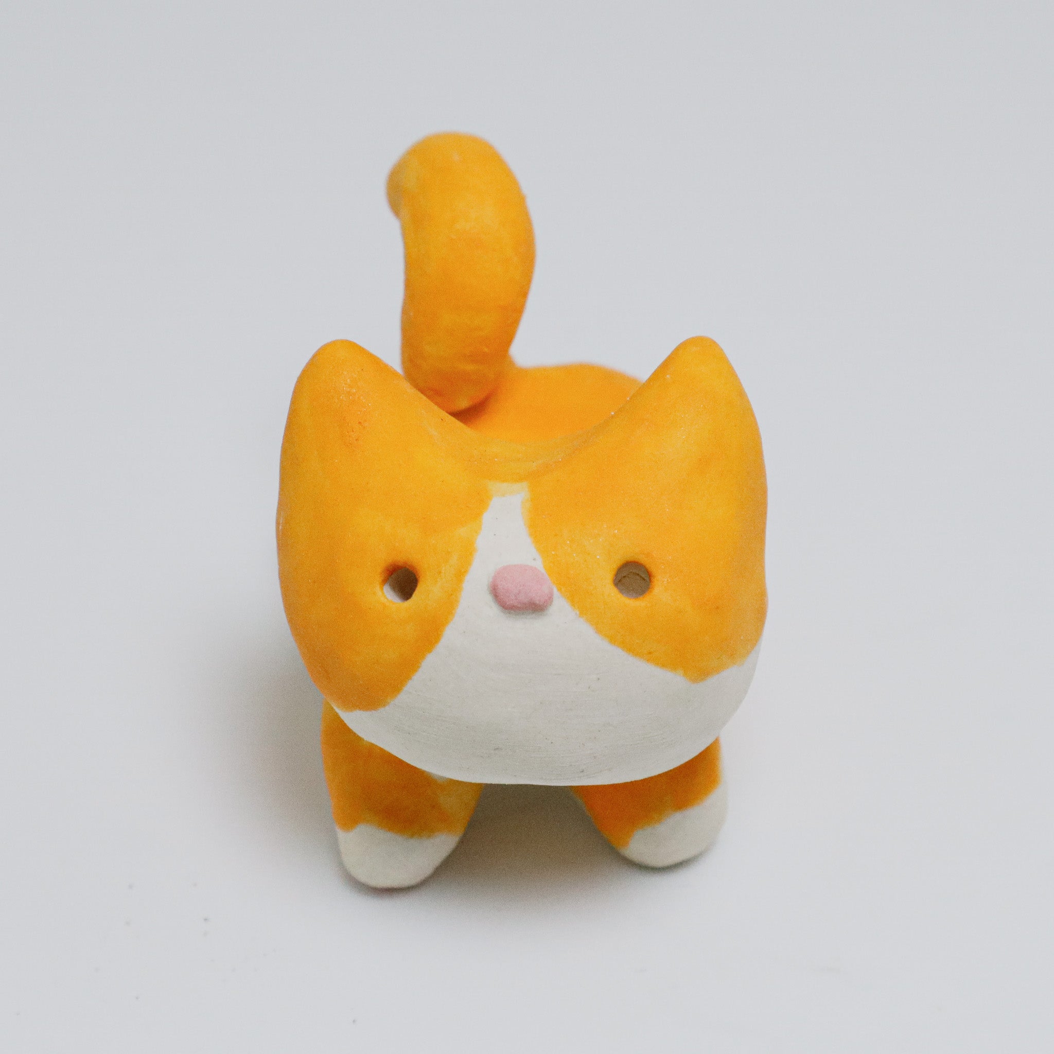 Cool Guy | Pocket Kitty