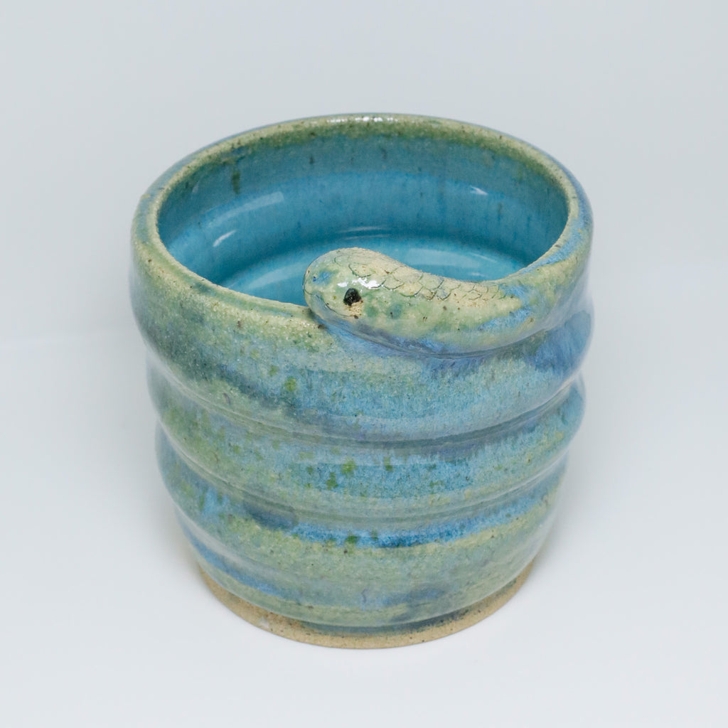 Aqua | Snake Planter