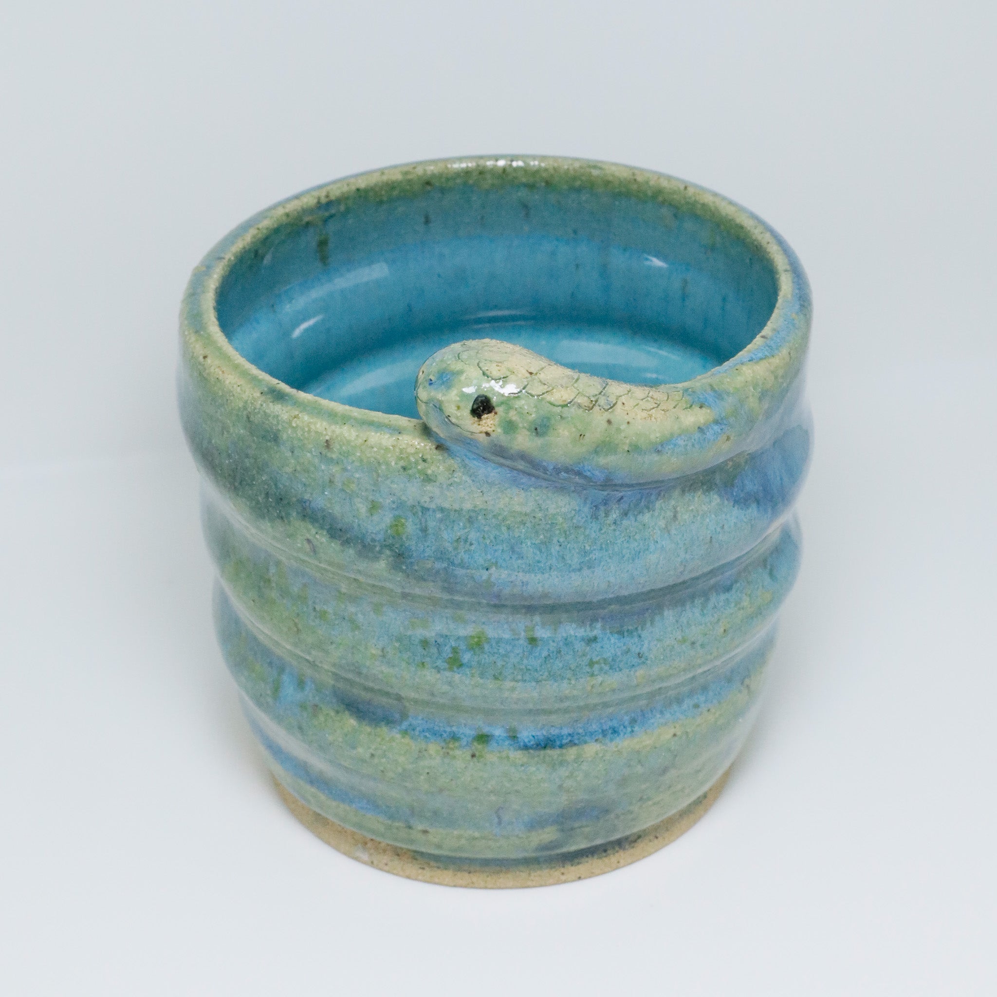 Aqua | Snake Planter
