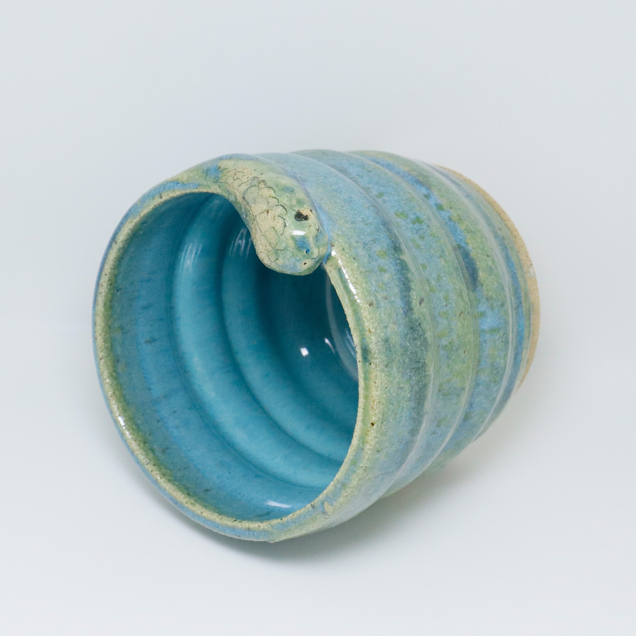 Aqua | Snake Planter